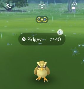 Pokémon Spotlight Hour with Pidgey and Shiny Pidgey with 2x Evolution XP available in Pokémon GO tomorrow, September 2, from 6 p.m. to 7 p.m. local time